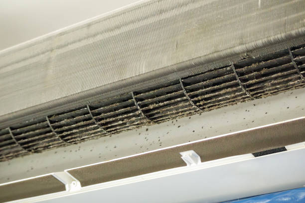 Best Affordable Duct Cleaning Services  in Archbald, PA